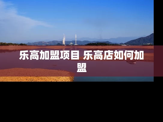 乐高加盟项目 乐高店如何加盟