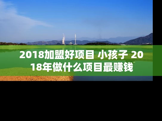 2018加盟好项目 小孩子 2018年做什么项目最赚钱