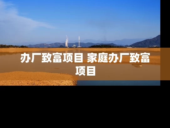 办厂致富项目 家庭办厂致富项目