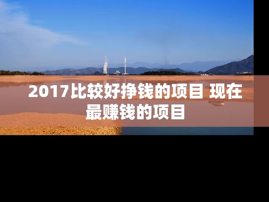 2017比较好挣钱的项目 现在最赚钱的项目