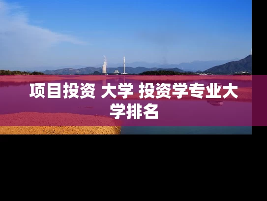 项目投资 大学 投资学专业大学排名