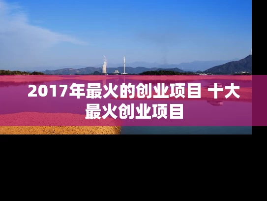 2017年最火的创业项目 十大最火创业项目