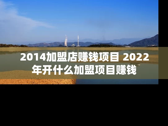 2014加盟店赚钱项目 2022年开什么加盟项目赚钱