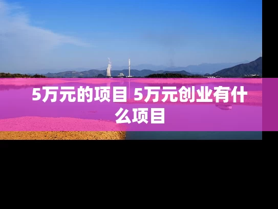 5万元的项目 5万元创业有什么项目