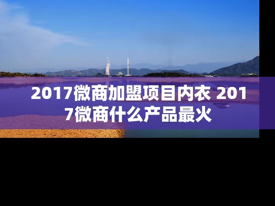 2017微商加盟项目内衣 2017微商什么产品最火