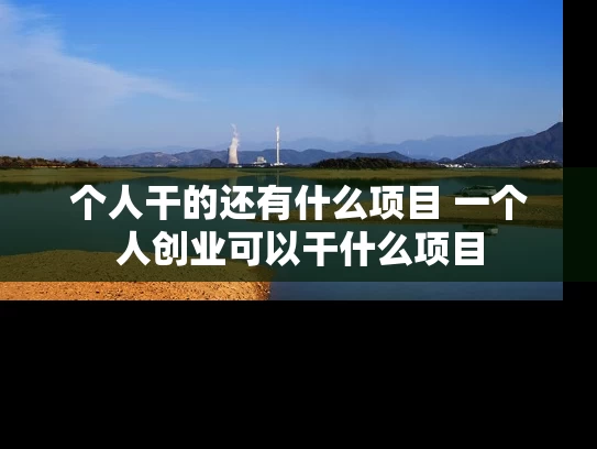 个人干的还有什么项目 一个人创业可以干什么项目