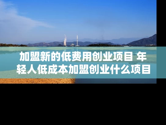 加盟新的低费用创业项目 年轻人低成本加盟创业什么项目好