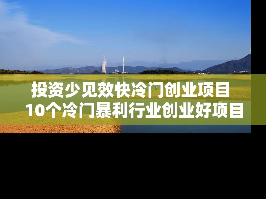 投资少见效快冷门创业项目 10个冷门暴利行业创业好项目