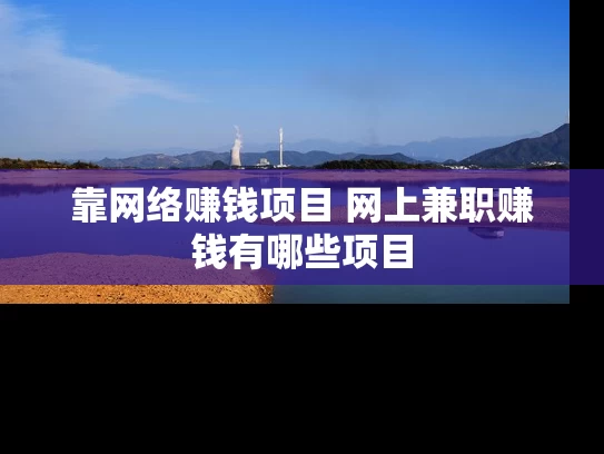 靠网络赚钱项目 网上兼职赚钱有哪些项目