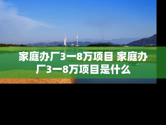 家庭办厂3一8万项目 家庭办厂3一8万项目是什么