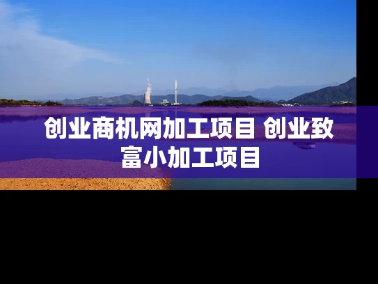 创业商机网加工项目 创业致富小加工项目