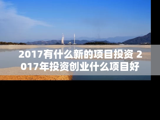 2017有什么新的项目投资 2017年投资创业什么项目好
