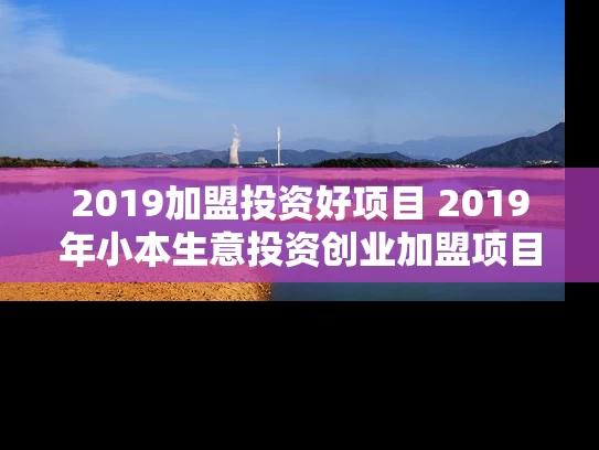 2019加盟投资好项目 2019年小本生意投资创业加盟项目有哪些