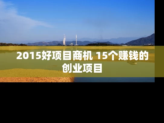 2015好项目商机 15个赚钱的创业项目