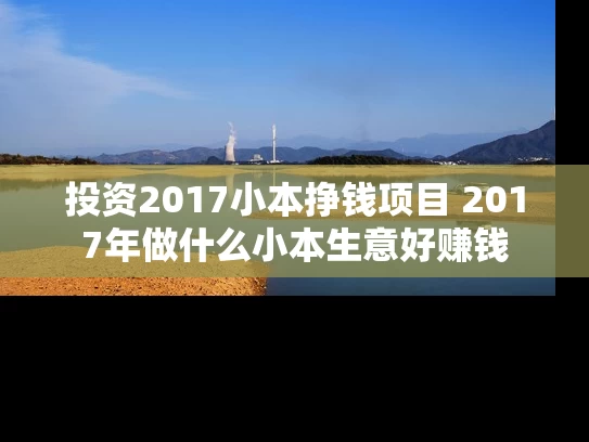 投资2017小本挣钱项目 2017年做什么小本生意好赚钱