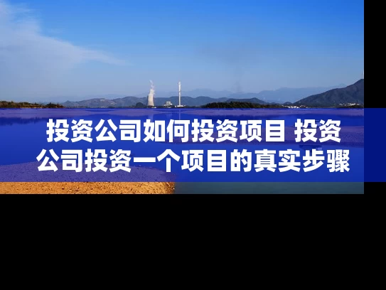 投资公司如何投资项目 投资公司投资一个项目的真实步骤是什么