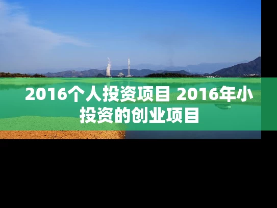 2016个人投资项目 2016年小投资的创业项目