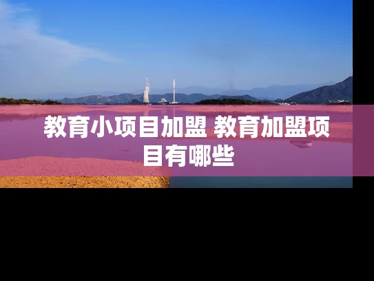 教育小项目加盟 教育加盟项目有哪些