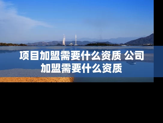 项目加盟需要什么资质 公司加盟需要什么资质