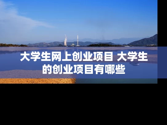 大学生网上创业项目 大学生的创业项目有哪些