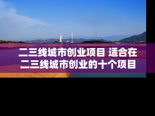 二三线城市创业项目 适合在二三线城市创业的十个项目