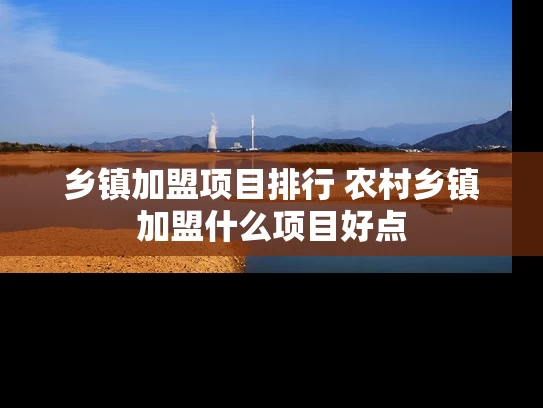 乡镇加盟项目排行 农村乡镇加盟什么项目好点