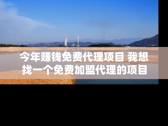 今年赚钱免费代理项目 我想找一个免费加盟代理的项目