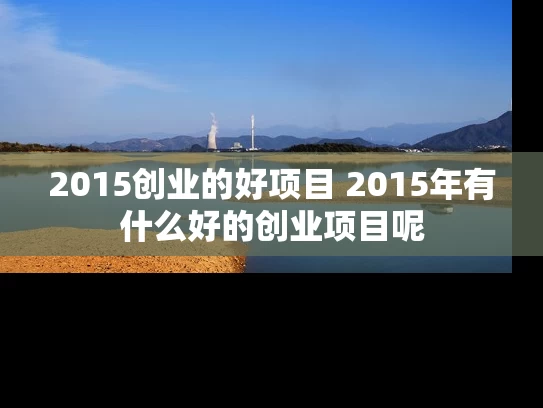 2015创业的好项目 2015年有什么好的创业项目呢