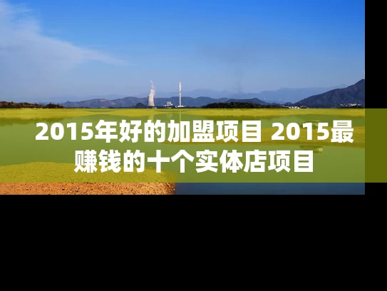 2015年好的加盟项目 2015最赚钱的十个实体店项目