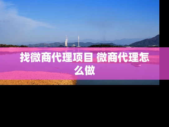 找微商代理项目 微商代理怎么做