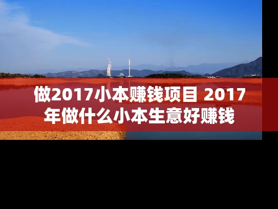 做2017小本赚钱项目 2017年做什么小本生意好赚钱