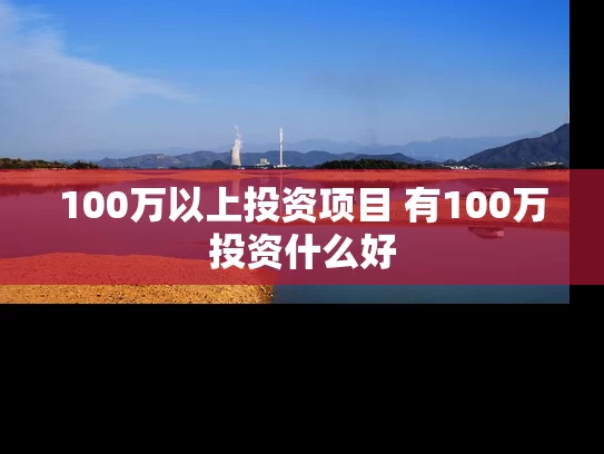 100万以上投资项目 有100万投资什么好
