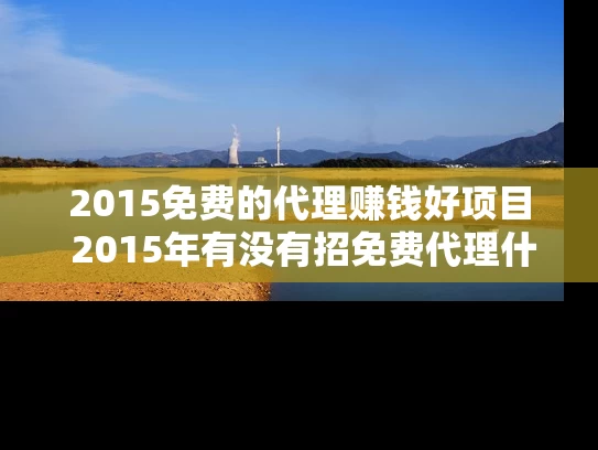 2015免费的代理赚钱好项目 2015年有没有招免费代理什么最赚钱