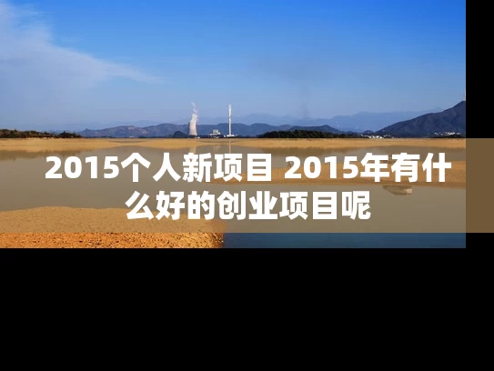 2015个人新项目 2015年有什么好的创业项目呢