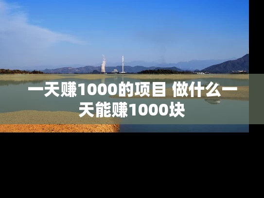 一天赚1000的项目 做什么一天能赚1000块