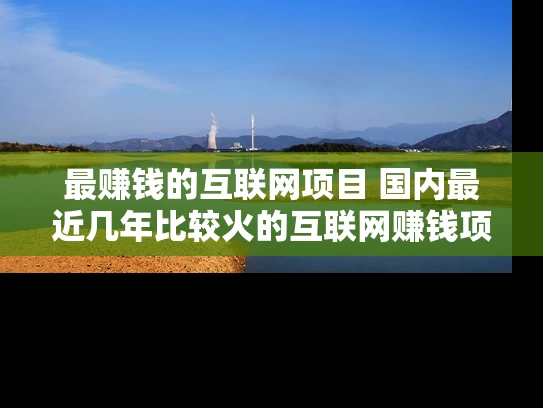 最赚钱的互联网项目 国内最近几年比较火的互联网赚钱项目
