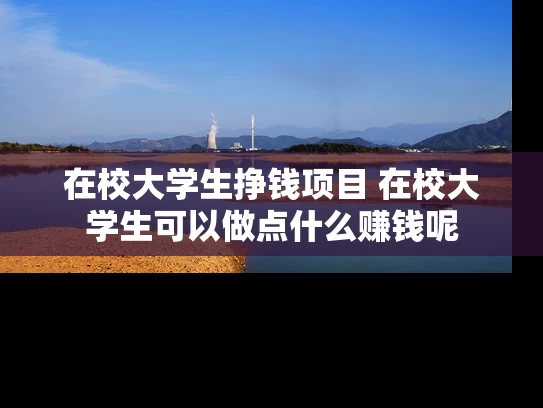 在校大学生挣钱项目 在校大学生可以做点什么赚钱呢