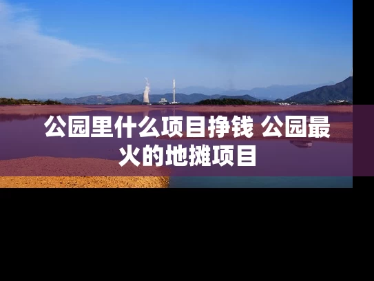 公园里什么项目挣钱 公园最火的地摊项目