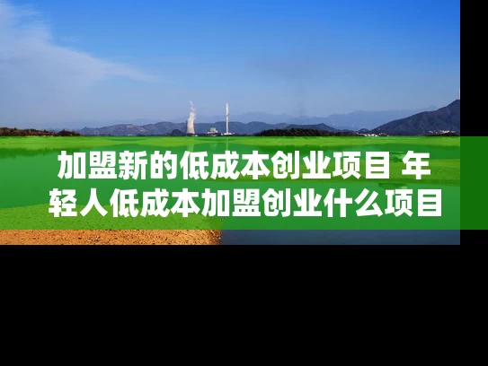加盟新的低成本创业项目 年轻人低成本加盟创业什么项目好