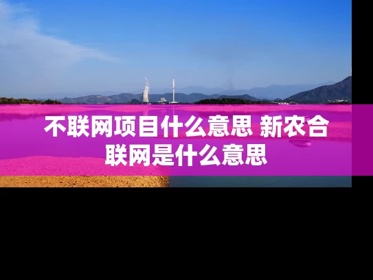 不联网项目什么意思 新农合联网是什么意思