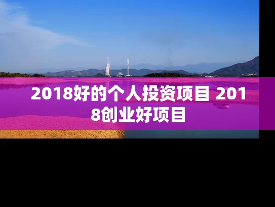 2018好的个人投资项目 2018创业好项目