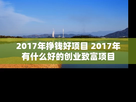 2017年挣钱好项目 2017年有什么好的创业致富项目