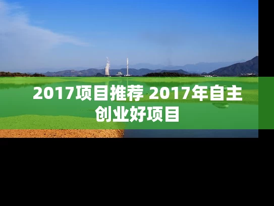 2017项目推荐 2017年自主创业好项目