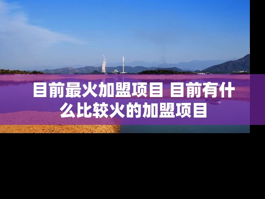 目前最火加盟项目 目前有什么比较火的加盟项目
