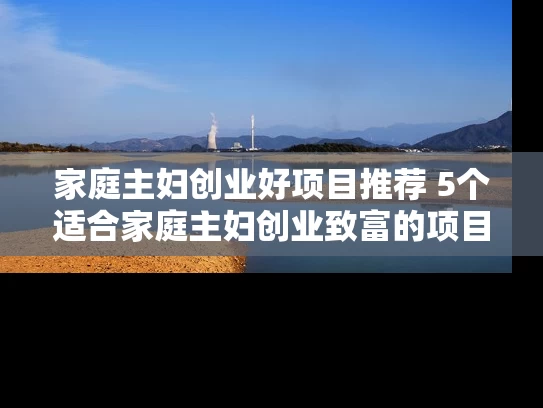 家庭主妇创业好项目推荐 5个适合家庭主妇创业致富的项目