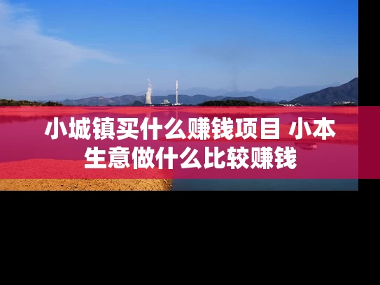 小城镇买什么赚钱项目 小本生意做什么比较赚钱