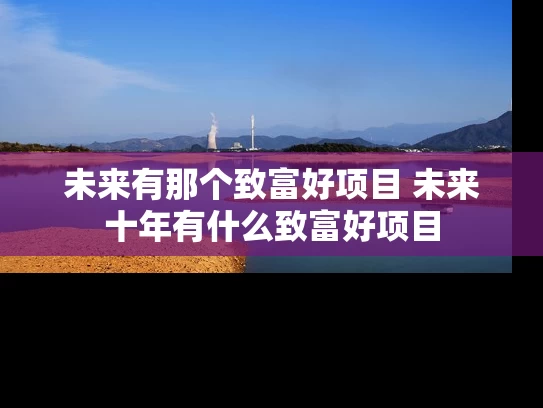 未来有那个致富好项目 未来十年有什么致富好项目