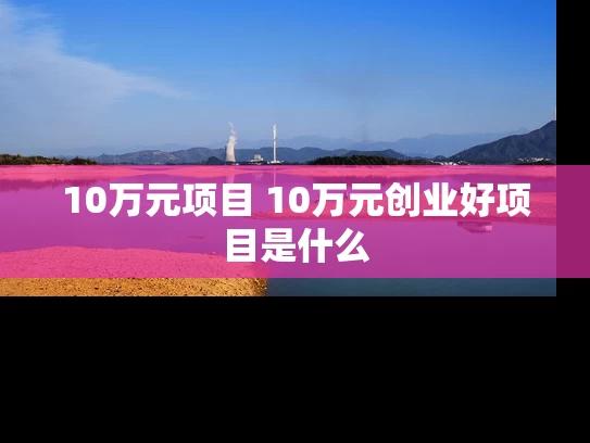 10万元项目 10万元创业好项目是什么