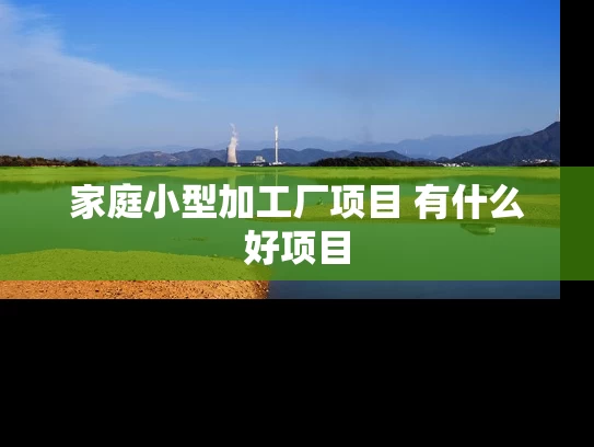 家庭小型加工厂项目 有什么好项目