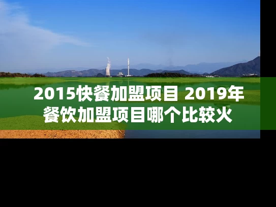 2015快餐加盟项目 2019年餐饮加盟项目哪个比较火